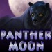 Panther_Moon_75х75