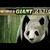Игровой автомат Untamed Giant Panda